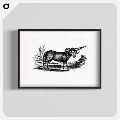 アートポスター-Victorian Goat Engraving
 - 大英図書館 Poster.