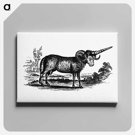アートパネル-Victorian Goat Engraving
 - 大英図書館 Canvas.