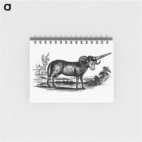 アートメモ帳-Victorian Goat Engraving
 - 大英図書館 Memo.