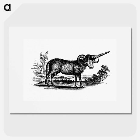 アートポスター-Victorian Goat Engraving
 - 大英図書館 Poster.