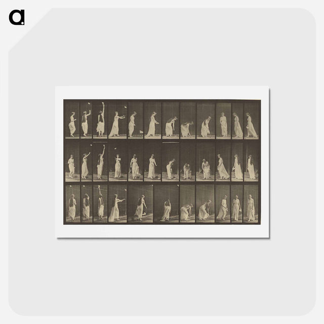 アートポストカード-Animal Locomotion
 - エドワード マイブリッジ Postcard.