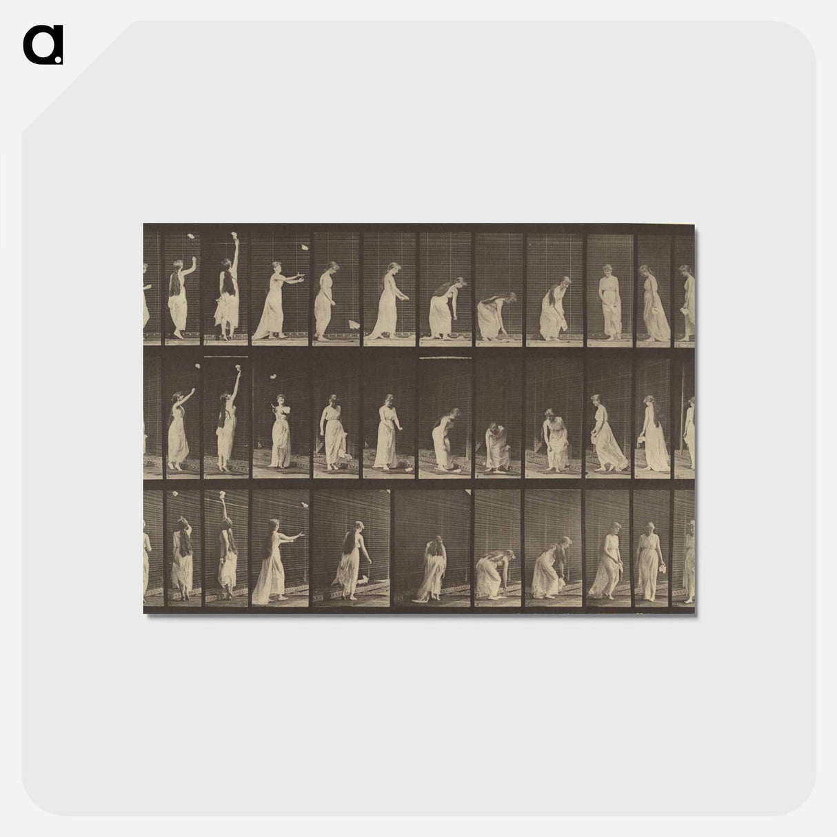 アートポストカード-Animal Locomotion
 - エドワード マイブリッジ Postcard.