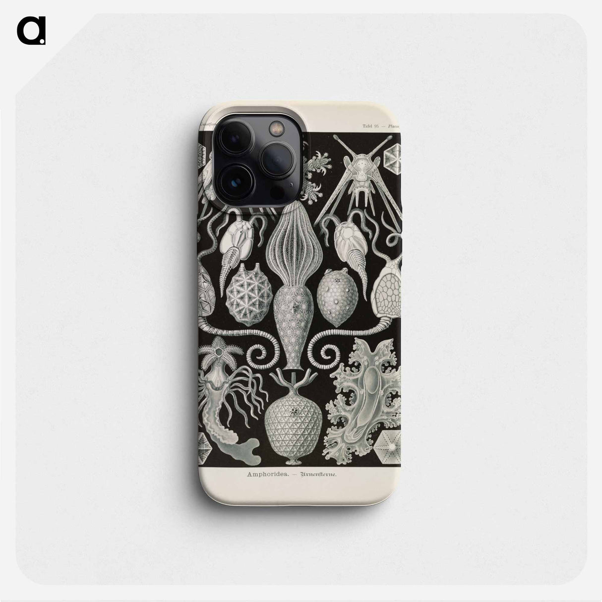 Marine life illustration - エルンスト ヘッケル Phone Case.