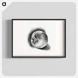 Apple - ジャン ベルナール Poster.