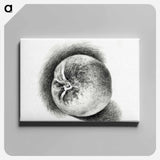 アートパネル-Apple - ジャン ベルナール Canvas.