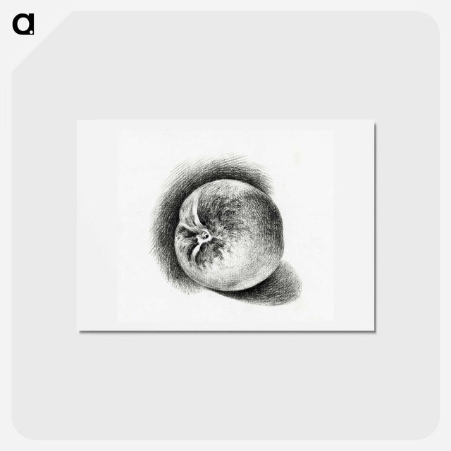アートポストカード-Apple - ジャン ベルナール Postcard.