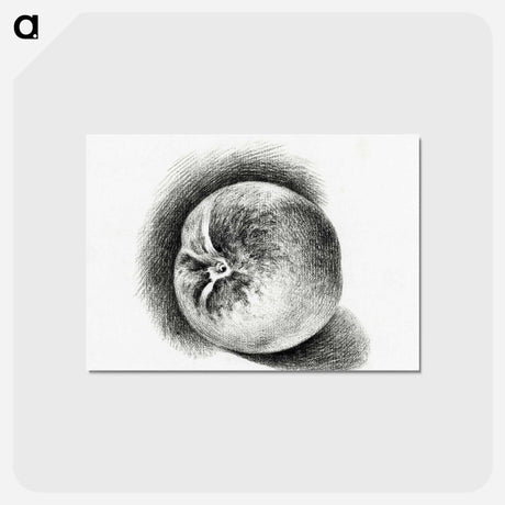 アートポストカード-Apple - ジャン ベルナール Postcard.