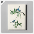 アートパネル-Blue-Grey Fly-catcher from Birds of America
 - アメリカの鳥たち Canvas.
