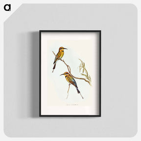 アートポスター-Australian Bee-eater
 - オーストラリアの鳥 Poster.