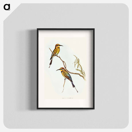 アートポスター-Australian Bee-eater
 - オーストラリアの鳥 Poster.
