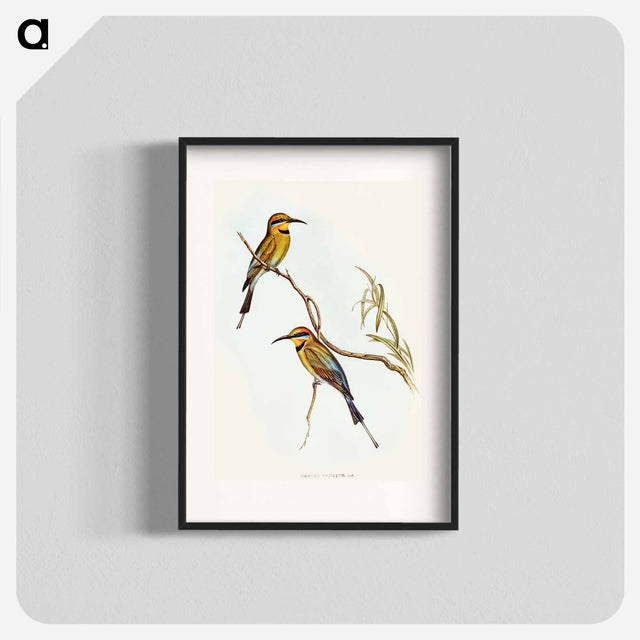 アートポスター-Australian Bee-eater
 - オーストラリアの鳥 Poster.