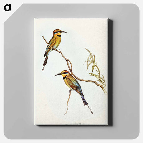 アートパネル-Australian Bee-eater
 - オーストラリアの鳥 Canvas.