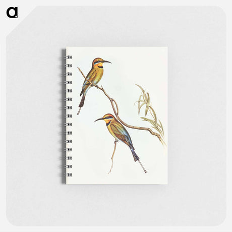 アートメモ帳-Australian Bee-eater
 - オーストラリアの鳥 Memo.