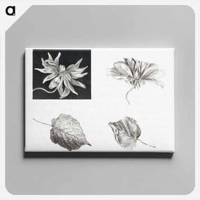 アートパネル-Flowers and Leaves - テオ ヴァン ホイテマ Canvas.