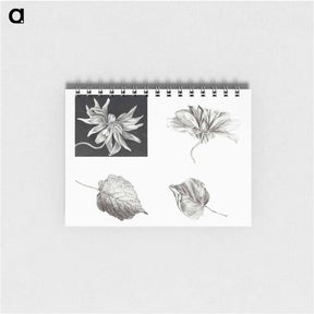 アートメモ帳-Flowers and Leaves - テオ ヴァン ホイテマ Memo.