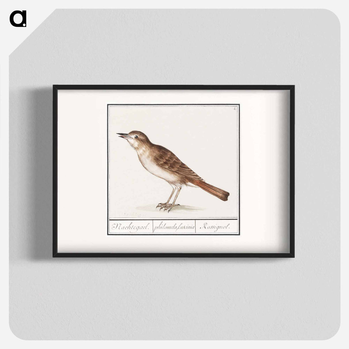 Nightingale - アンセルムス ボエティウス デ ブート Poster.