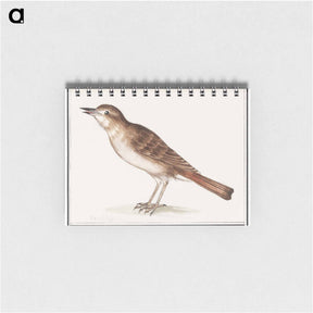 アートメモ帳-Nightingale - アンセルムス ボエティウス デ ブート Memo.