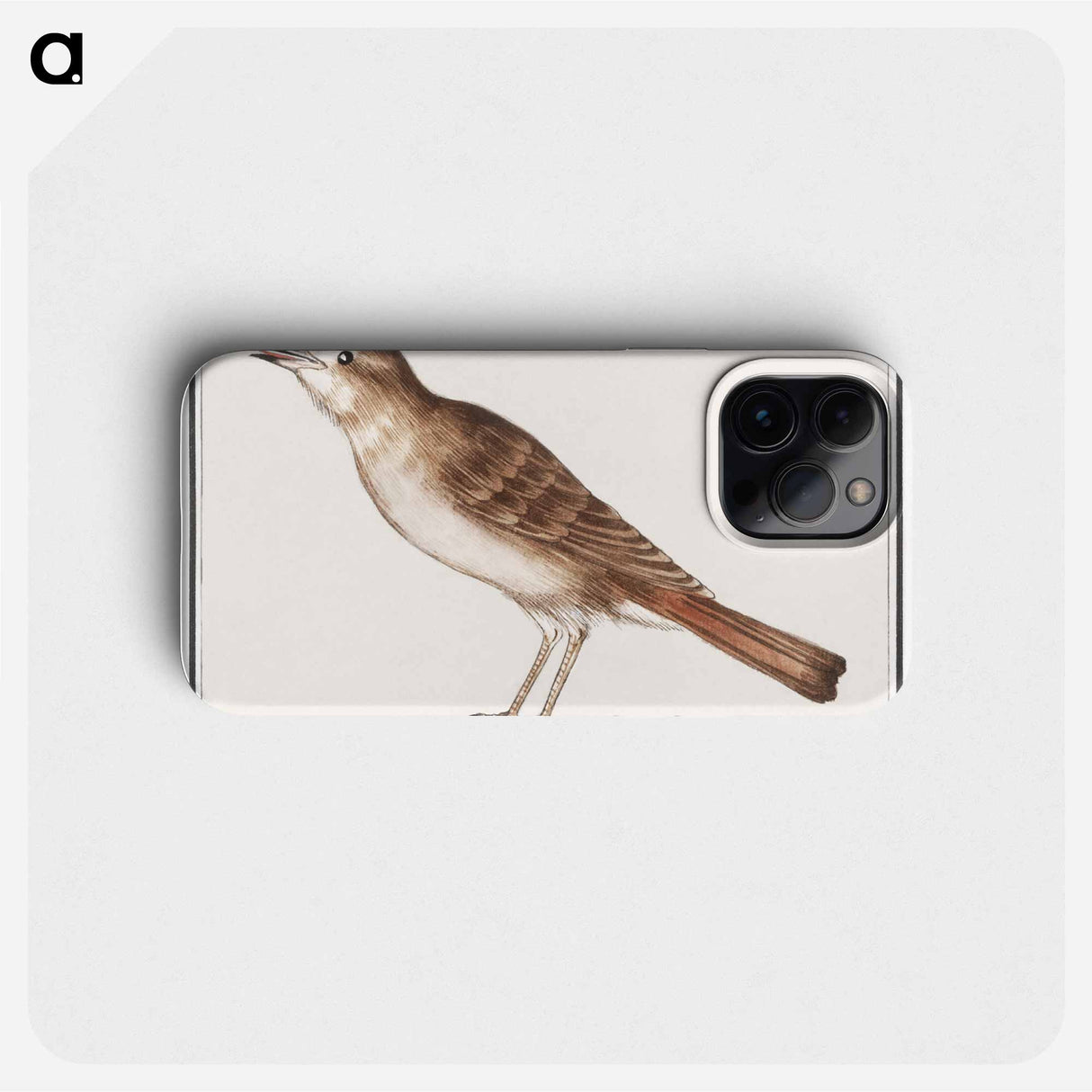 Nightingale - アンセルムス ボエティウス デ ブート Phone Case.
