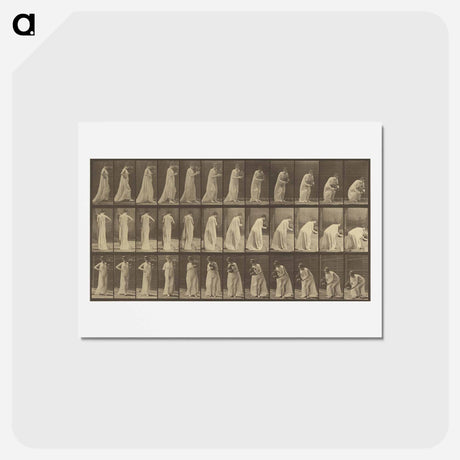 アートポストカード-Animal Locomotion
 - エドワード マイブリッジ Postcard.