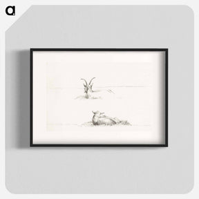 アートポスター-Sketches of a lying goat and a sheep - ジャン ベルナール Poster.