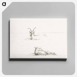 アートパネル-Sketches of a lying goat and a sheep - ジャン ベルナール Canvas.