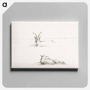アートパネル-Sketches of a lying goat and a sheep - ジャン ベルナール Canvas.