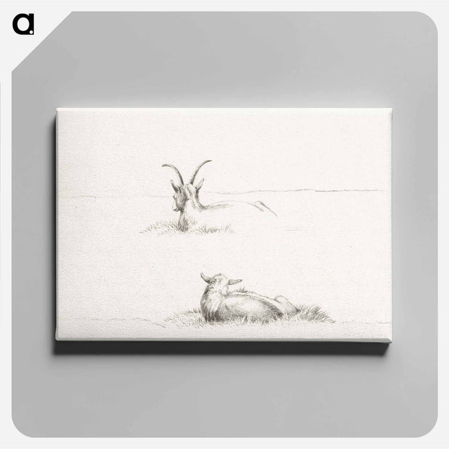 アートパネル-Sketches of a lying goat and a sheep - ジャン ベルナール Canvas.
