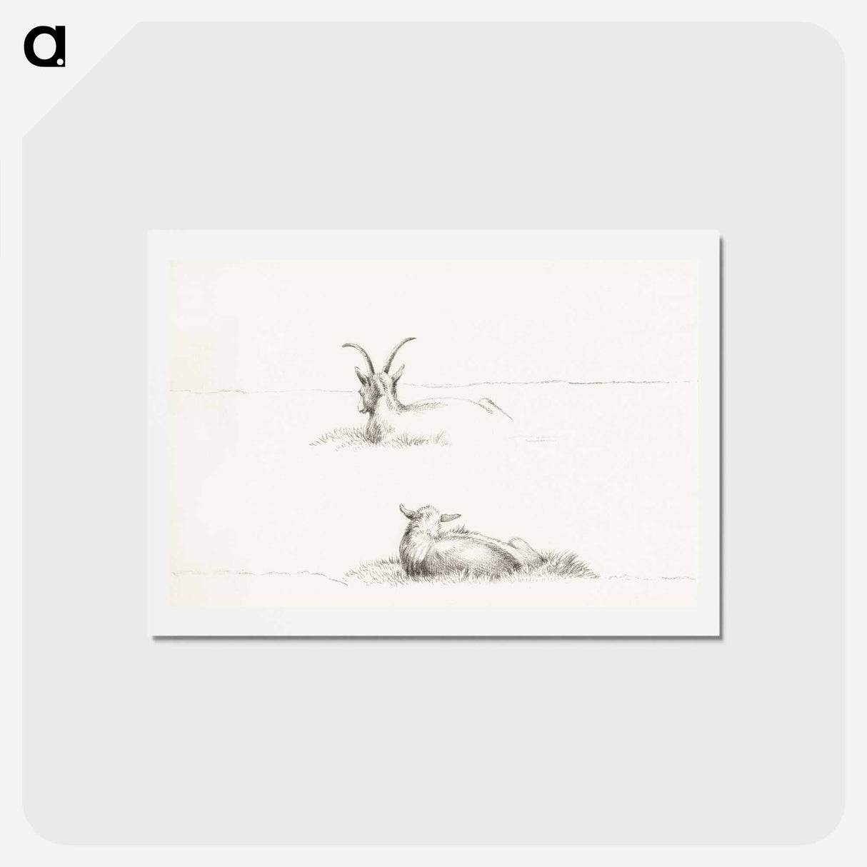 アートポストカード-Sketches of a lying goat and a sheep - ジャン ベルナール Postcard.