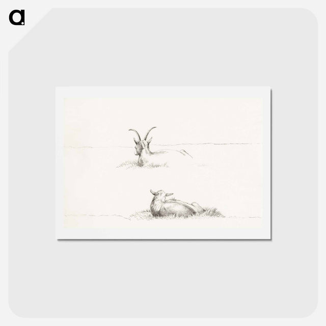 アートポストカード-Sketches of a lying goat and a sheep - ジャン ベルナール Postcard.