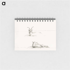 アートメモ帳-Sketches of a lying goat and a sheep - ジャン ベルナール Memo.