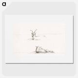 Sketches of a lying goat and a sheep - ジャン ベルナール Poster.