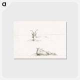 アートポストカード-Sketches of a lying goat and a sheep - ジャン ベルナール Postcard.