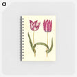 アートメモ帳-Tulipa gesneriana
 - マリア ジビーラ メーリアン Memo.