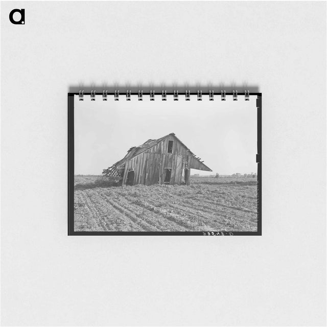 アートメモ帳-Sign in Store, Aledo
 - ラッセル リー Memo.