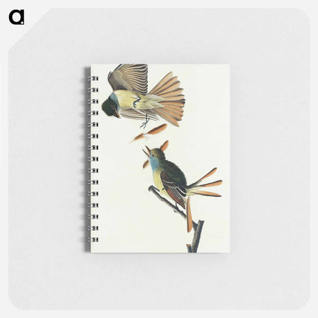アートメモ帳-Great Crested Flycatcher from Birds of America
 - アメリカの鳥たち Memo.