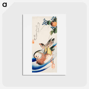 アートポストカード-Mandarin Ducks
 - 歌川 広重 Postcard.