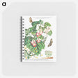 アートメモ帳-Plantae et Papiliones rariores: Martynia or Cat's claw
 - クリーブランド美術館 Memo.
