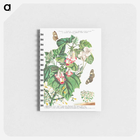 アートメモ帳-Plantae et Papiliones rariores: Martynia or Cat's claw
 - クリーブランド美術館 Memo.