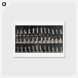 アートポストカード-Woman Wiping a Screen
 - エドワード マイブリッジ Postcard.