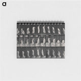 アートメモ帳-Woman Wiping a Screen
 - エドワード マイブリッジ Memo.