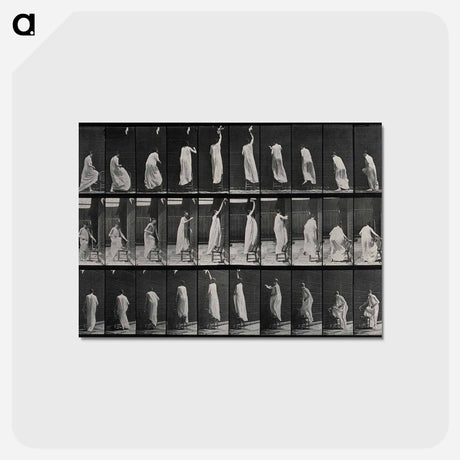 アートポストカード-Woman Wiping a Screen
 - エドワード マイブリッジ Postcard.