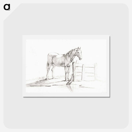 アートポストカード-Standing horse at a fence - ジャン ベルナール Postcard.