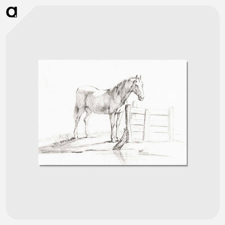 アートポストカード-Standing horse at a fence - ジャン ベルナール Postcard.