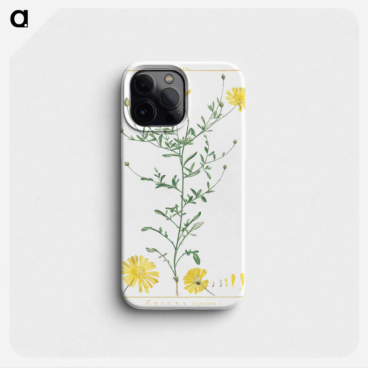 Zoegaea Leptaurea - Pierre Joseph Redouté Phone Case.