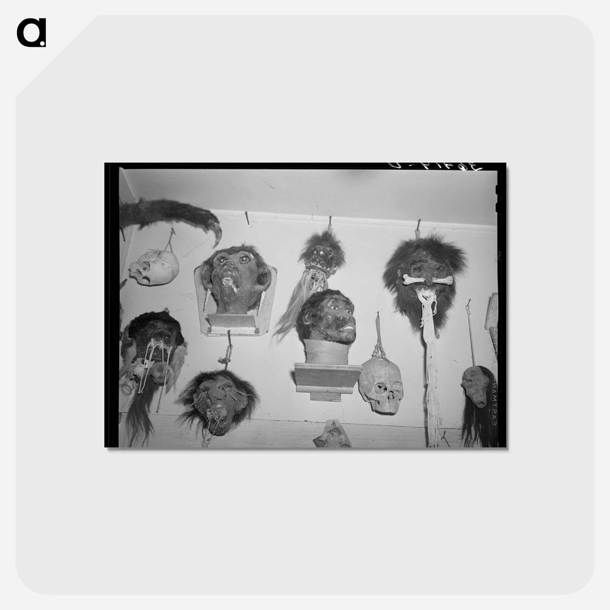 アートポストカード-Homer Tate's Imagined Heads
 - ラッセル リー Postcard.