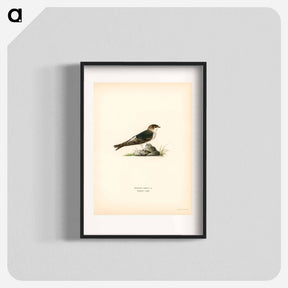アートポスター-House-Martin
 - スヴェンスカ フォグラル Poster.
