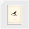 アートポストカード-House-Martin
 - スヴェンスカ フォグラル Postcard.