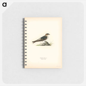 アートメモ帳-House-Martin
 - スヴェンスカ フォグラル Memo.