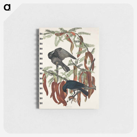 アートメモ帳-Fish Crow from Birds of America
 - アメリカの鳥たち Memo.