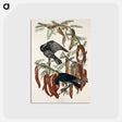 アートポストカード-Fish Crow from Birds of America
 - アメリカの鳥たち Postcard.